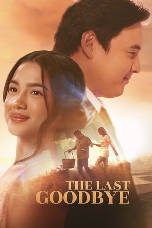 Nonton Film The Last Goodbye (2025) Sub Indo